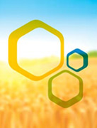 Бджільництво України – як основа продовольчої безпеки і збереження довкілля