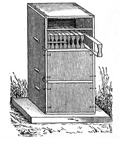 Перший вулик, первый улей, first hive, вулик Прокоповича, улей Прокоповича, hive Prokopovych